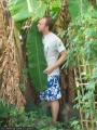 3406 Bananen überall